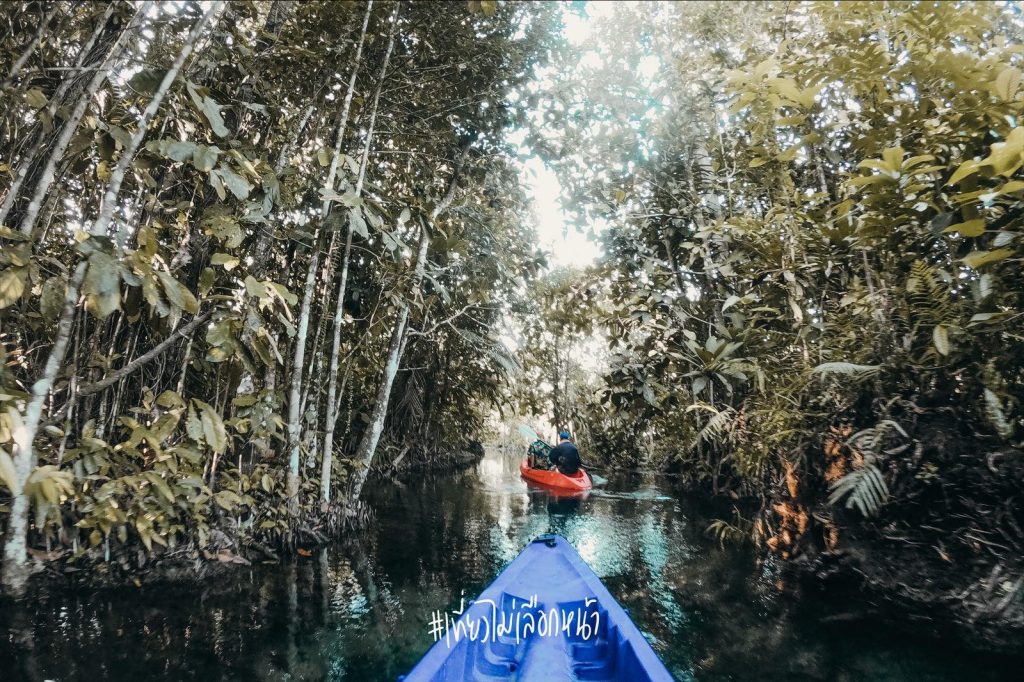 Krabi nematytos vietos