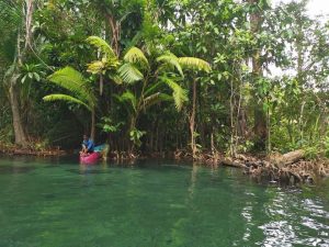 Krabi nematytos vietos – 1