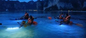 Plaukimas su baidarėmis Railay su planktonu – 3