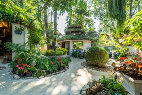 Phu Chaisai Chiang Rai Mountain Resort
