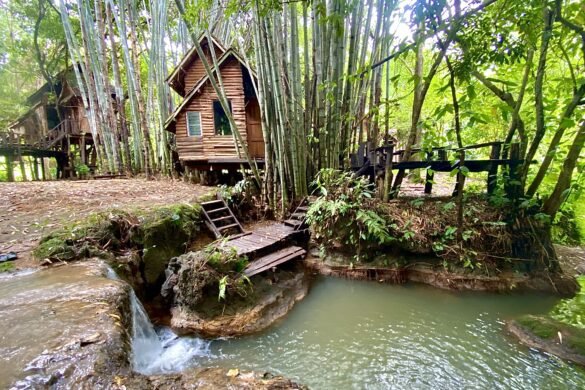 Rabeang Pasak Treehouse Resort