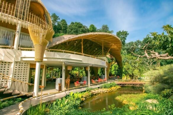 T-Story Mae kampong Chiang Mai