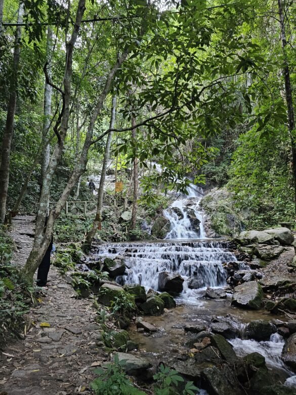 Mae Kampong Tailandas