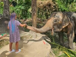 Nonos ir jos šeimos gyvenimas Tailande